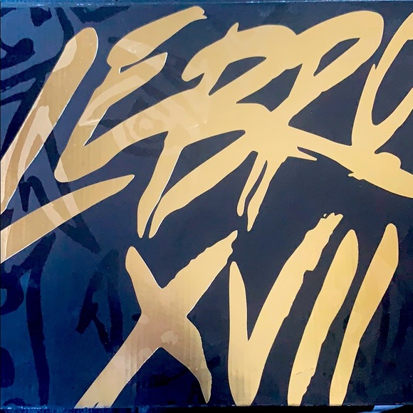 Lebron 17 Black-White - Picture 2 of 3